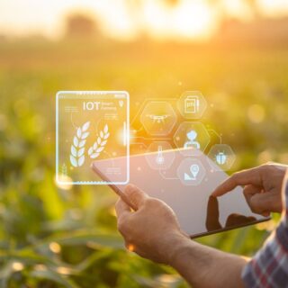 Asian farmer using digital tablet in corn crop cultivated field with smart farming interface icons and light flare sunset effect. Smart and new technology for agriculture business concept.