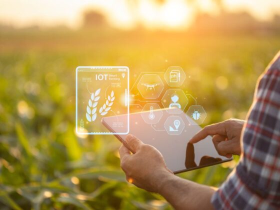 Asian farmer using digital tablet in corn crop cultivated field with smart farming interface icons and light flare sunset effect. Smart and new technology for agriculture business concept.