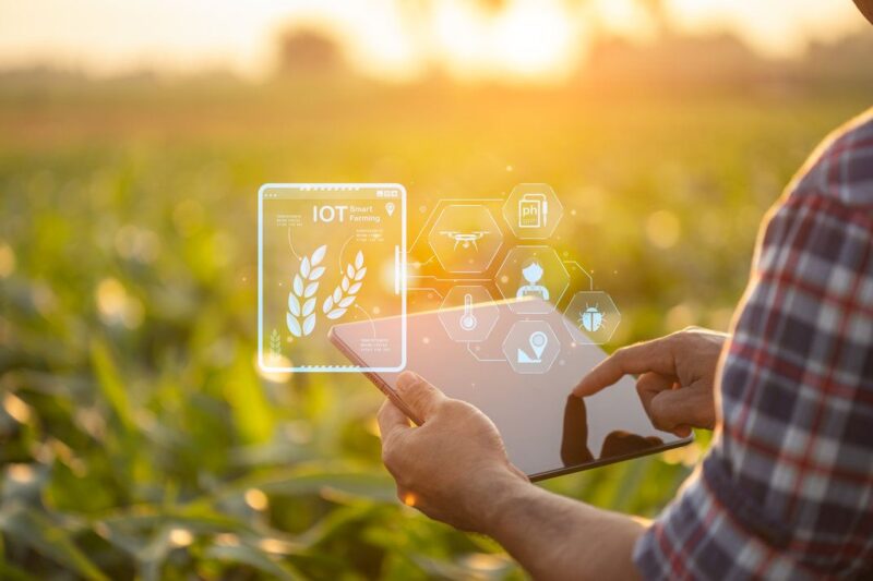 Asian farmer using digital tablet in corn crop cultivated field with smart farming interface icons and light flare sunset effect. Smart and new technology for agriculture business concept.